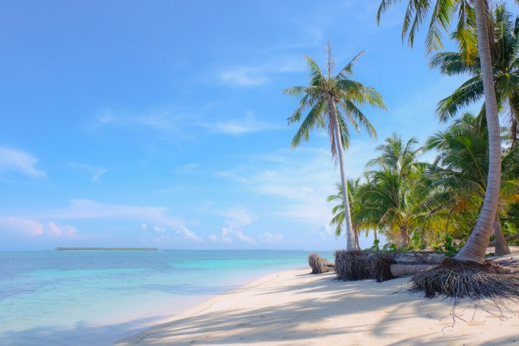 Tropical beach and turquoise sea in the Philippines